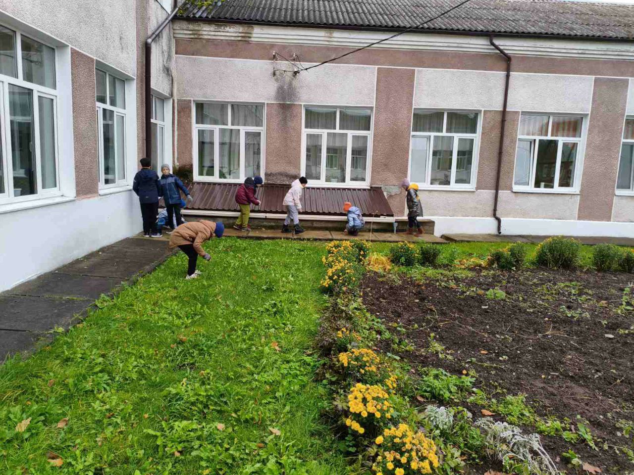 photo 2025 10 24 21 02 04