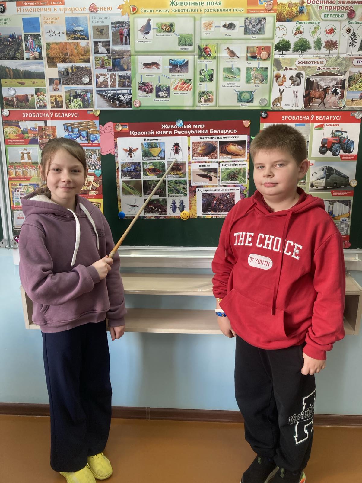 изображение viber 2025 11 06 11 05 36 134