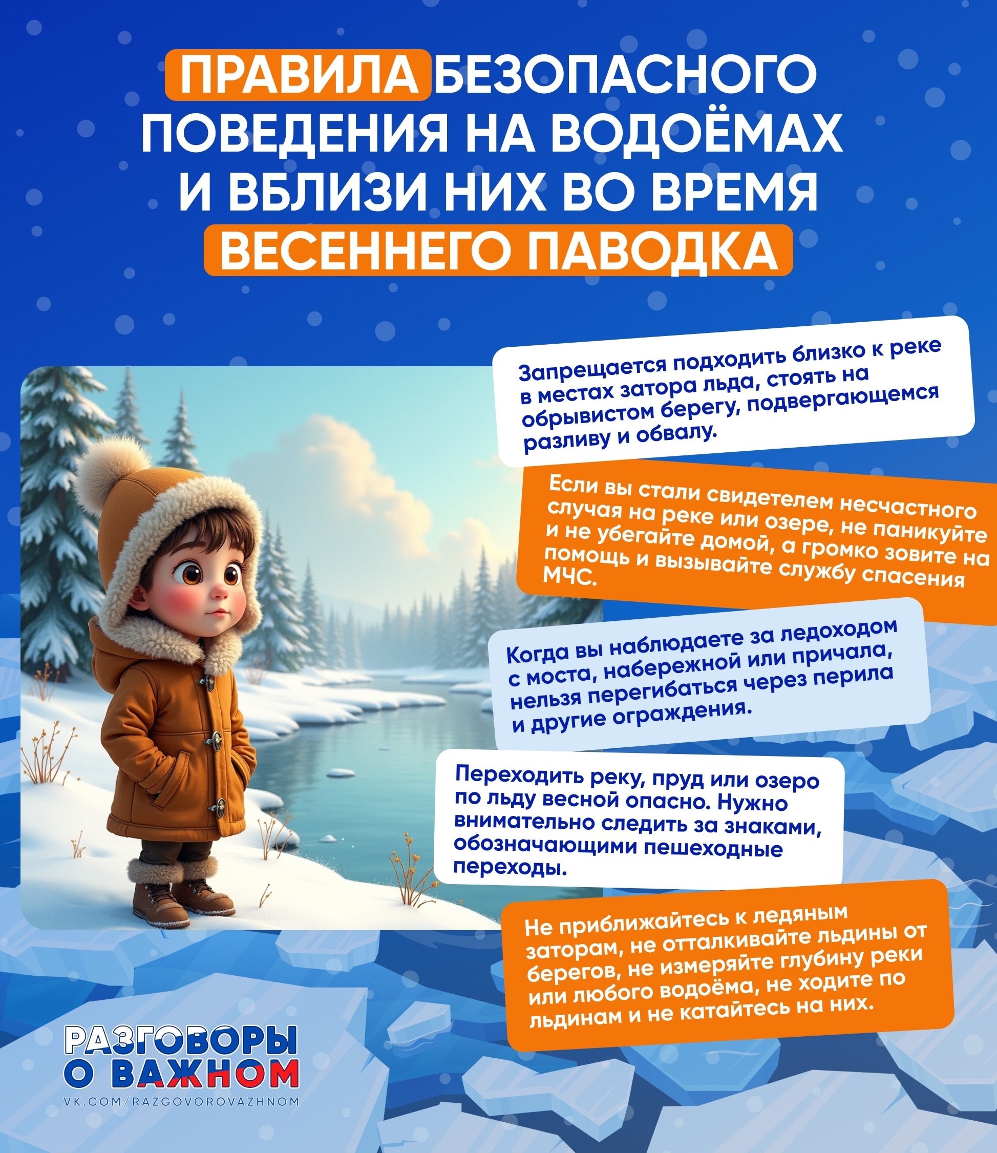 photo 2026 02 16 12 22 13