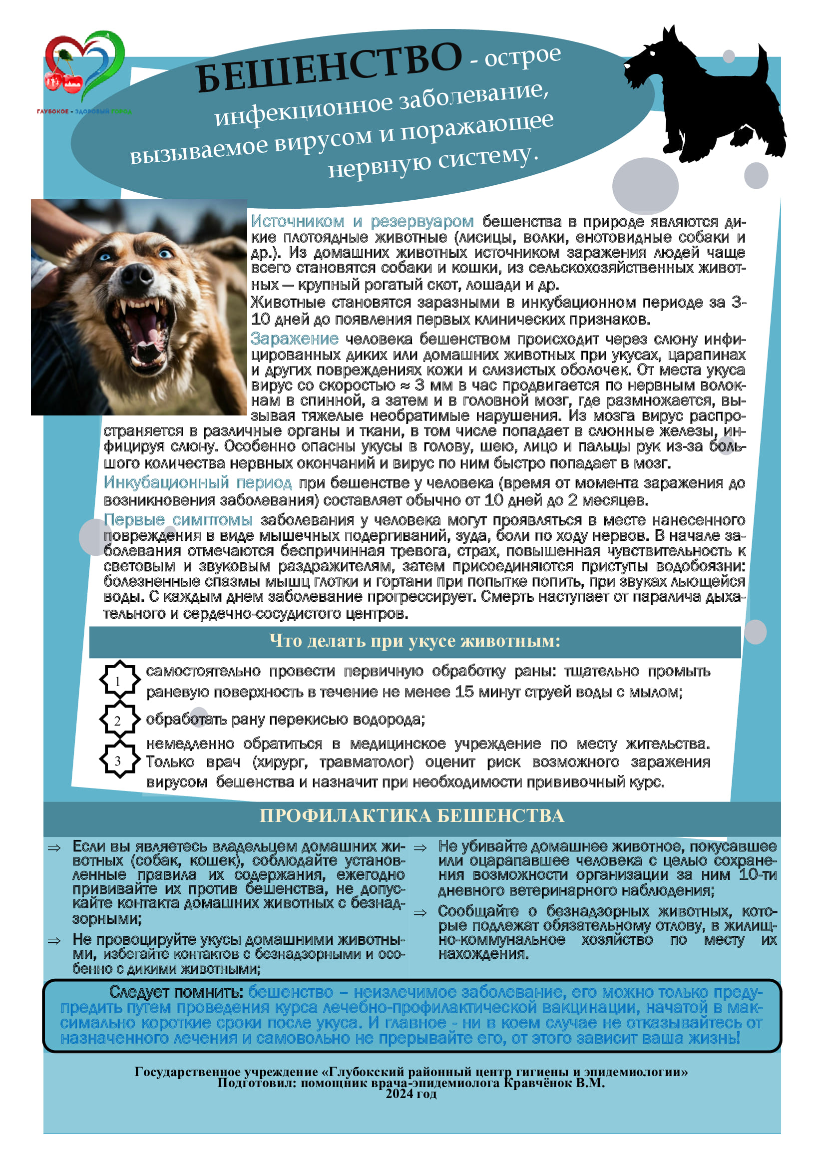 Памятка по профилактике бешенства 1