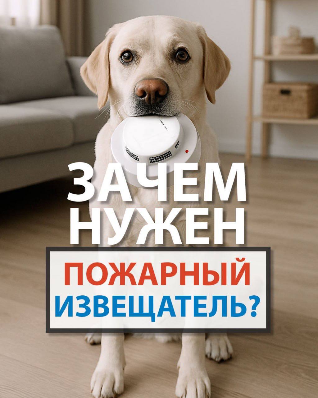 photo 5391254851196944637 y